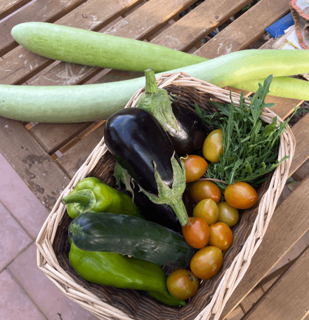 organic garden