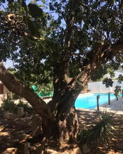 canestanco coliving exterior