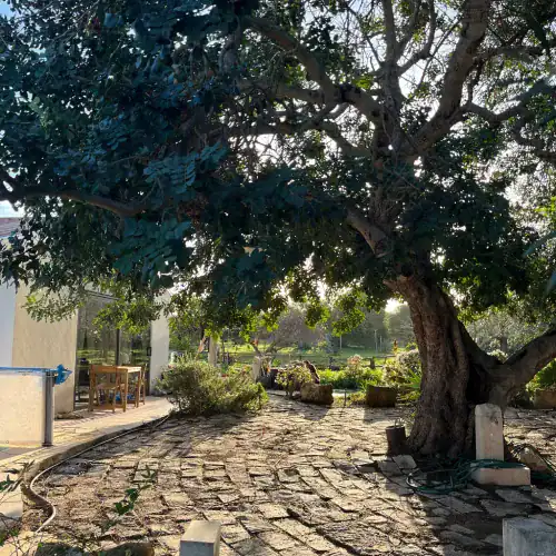 digital nomad housing