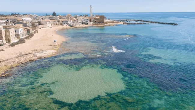 punta secca
