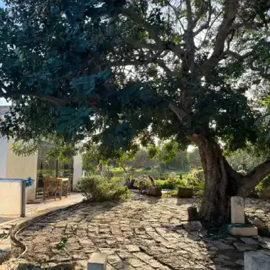 digital nomad housing